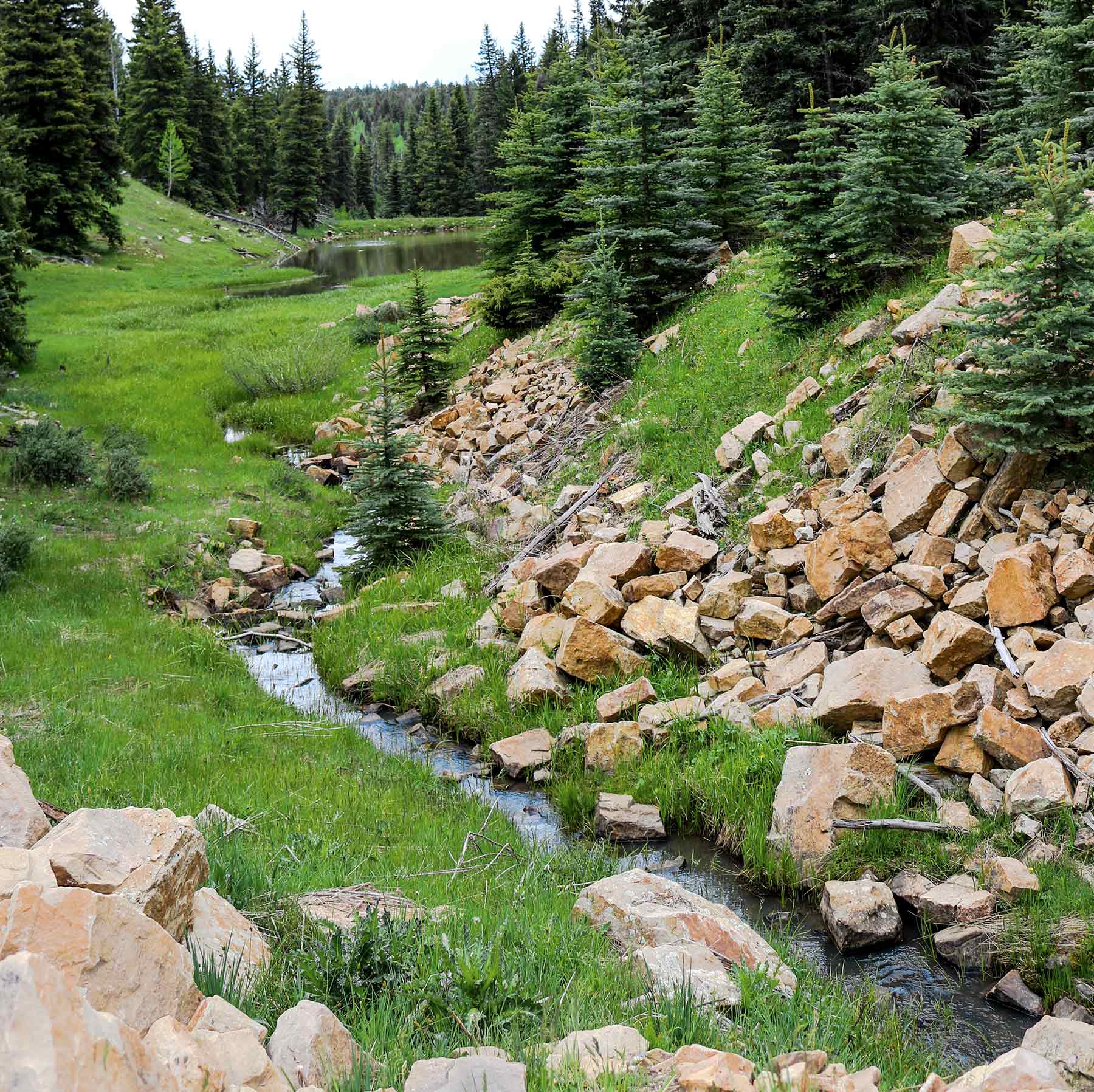 Piedra Valley Ranch property picture 20 of 59