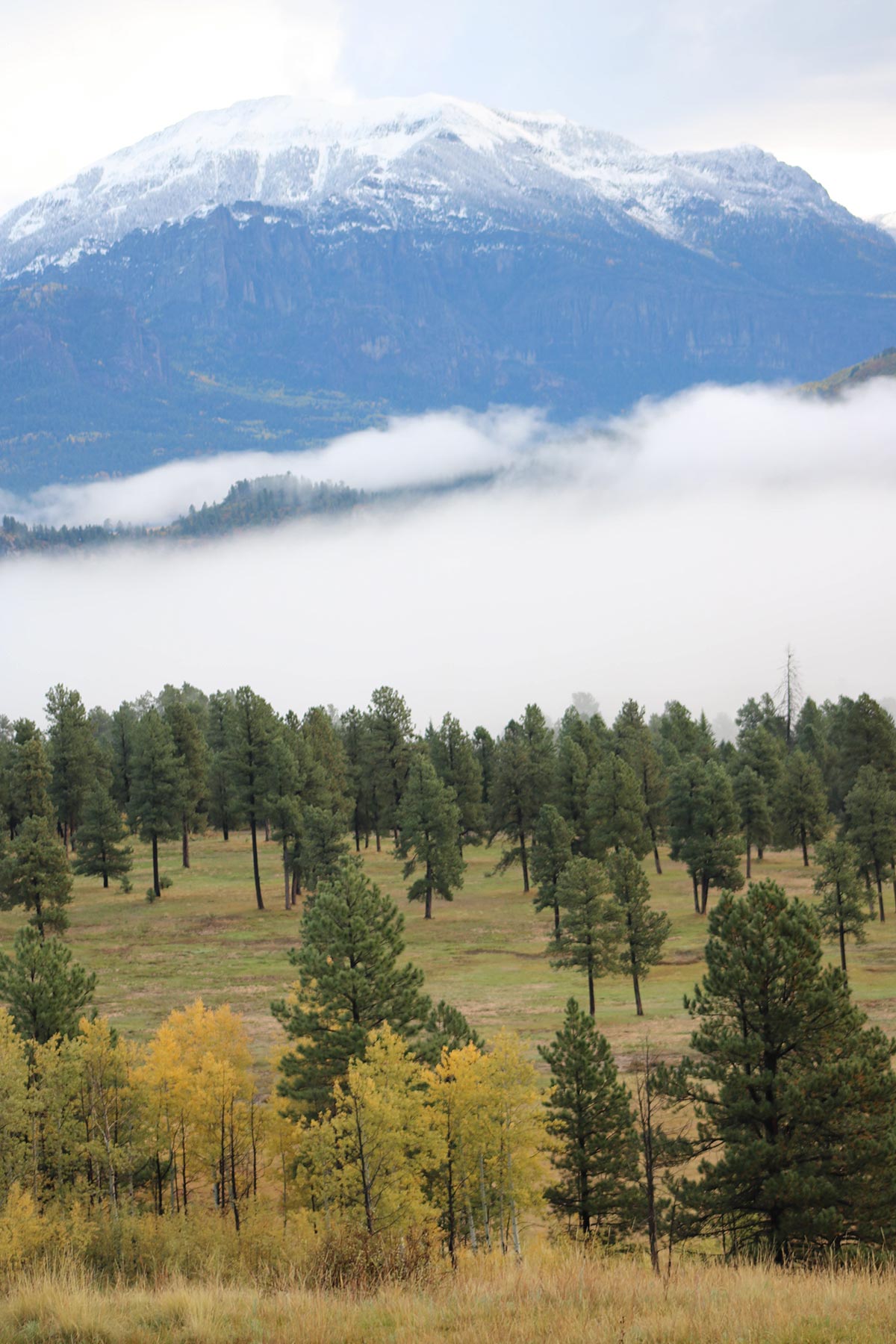 Piedra Valley Ranch property picture 52 of 59