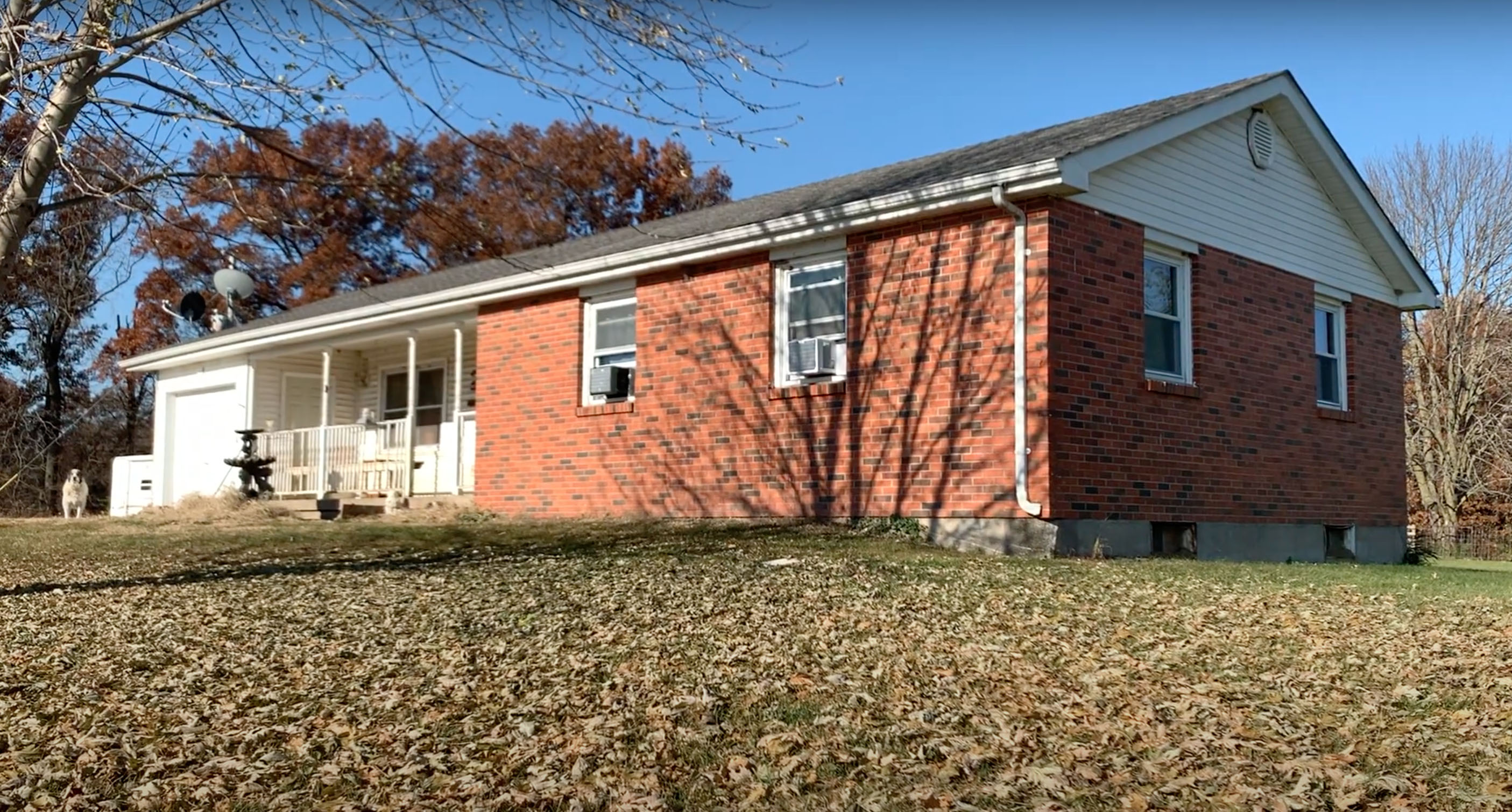 Knox & Macon County Farmland property picture 6 of 7