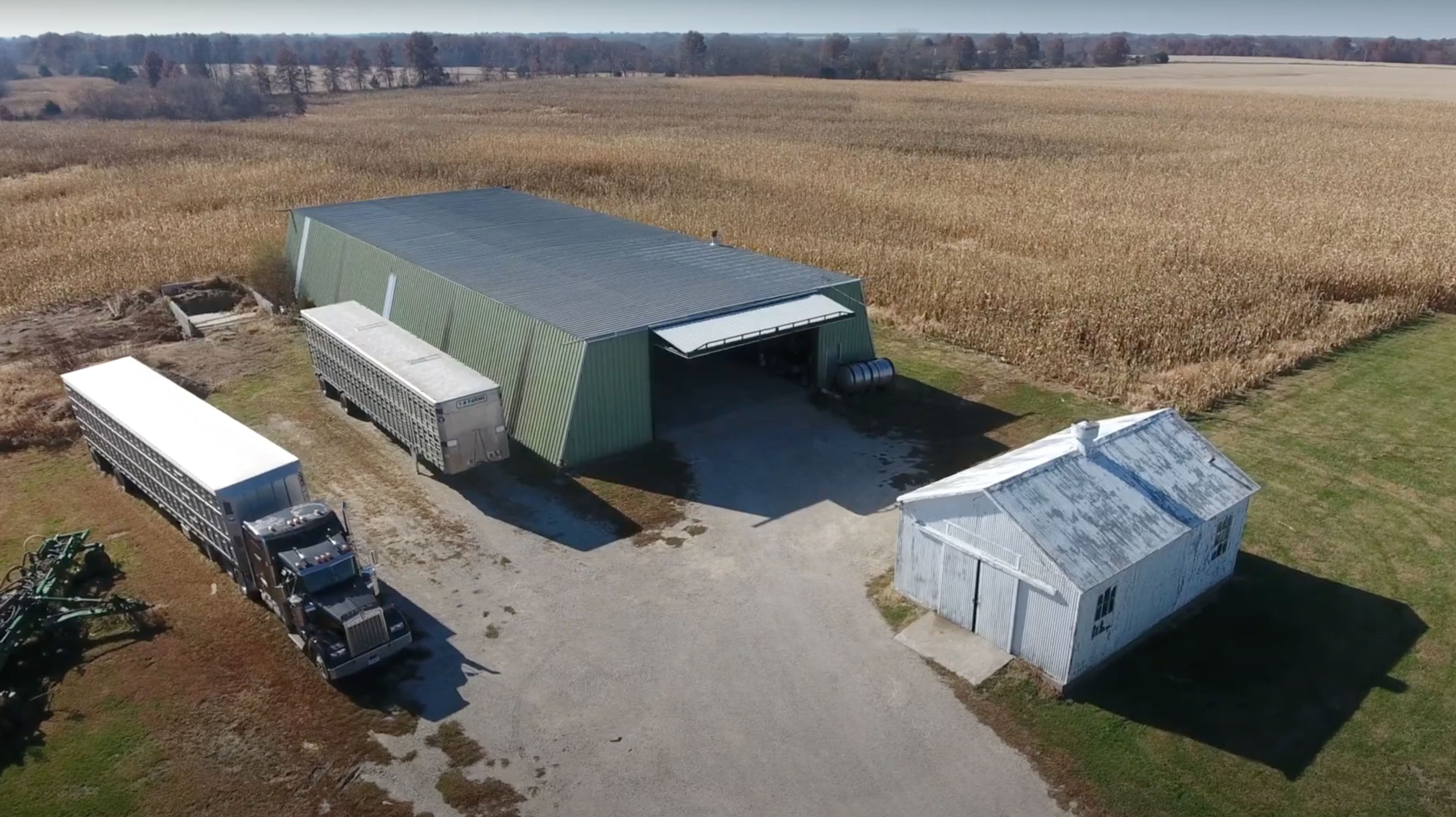 Knox & Macon County Farmland property picture 4 of 7