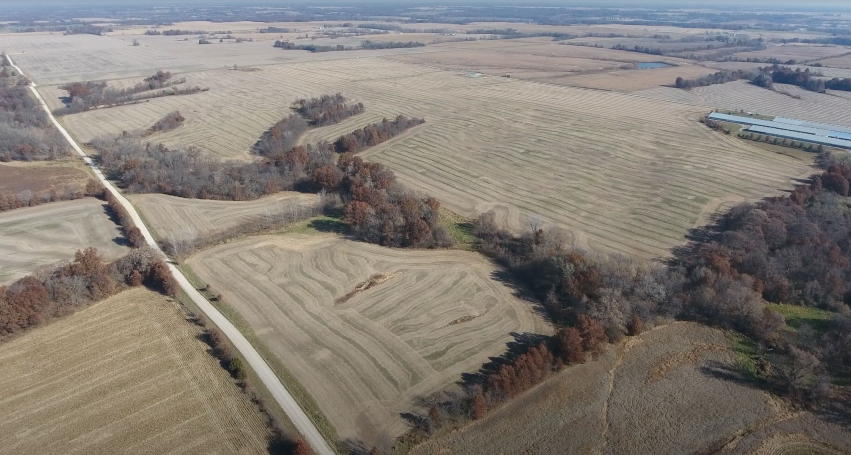 Knox & Macon County Farmland property picture 2 of 7