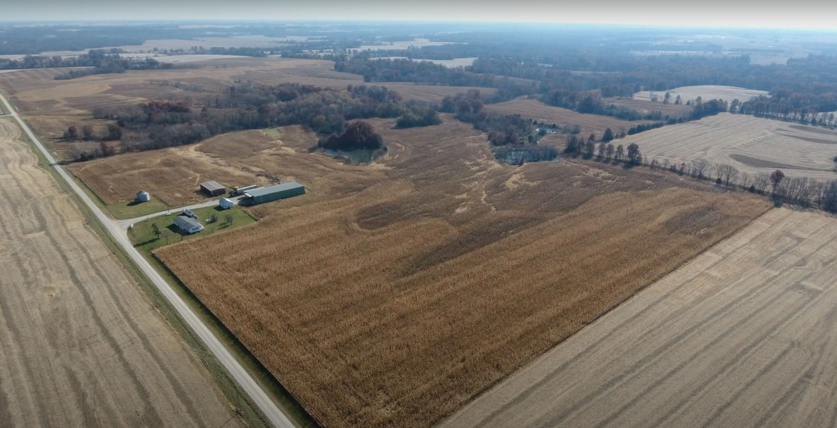 Knox & Macon County Farmland property picture 3 of 7