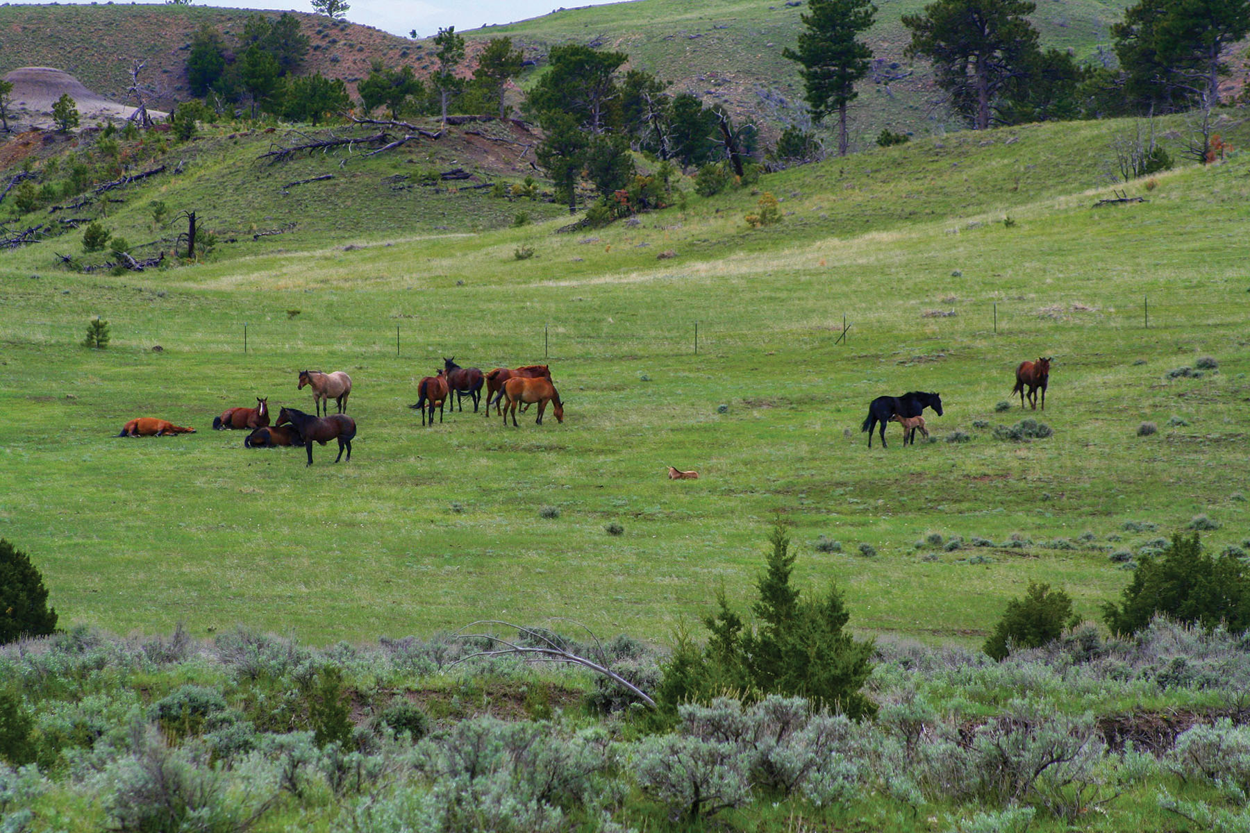 Tracy Ranch property picture 9 of 34