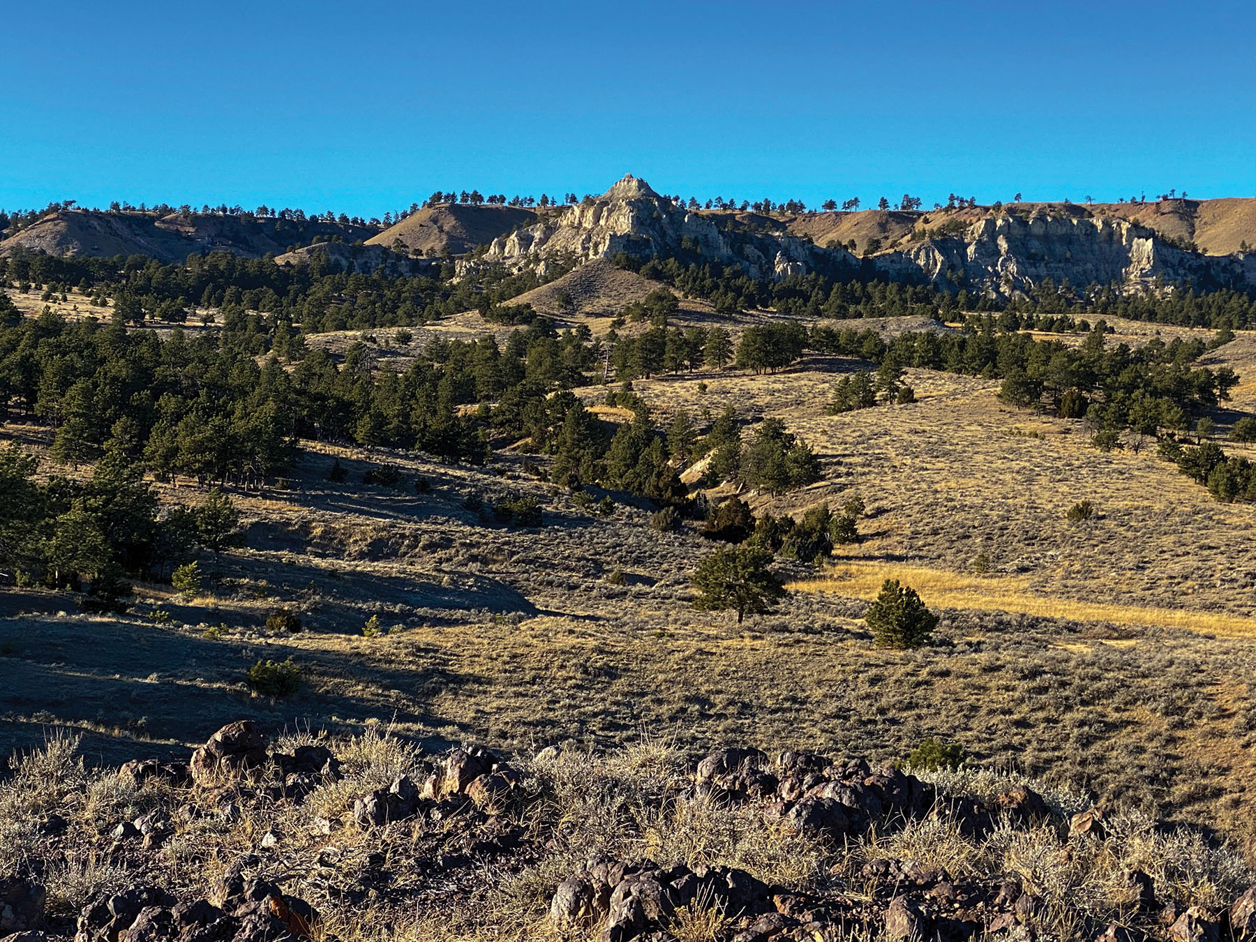 Tracy Ranch property picture 3 of 34
