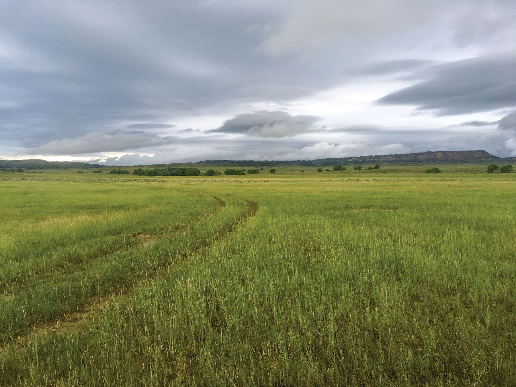 Tracy Ranch property picture 8 of 34