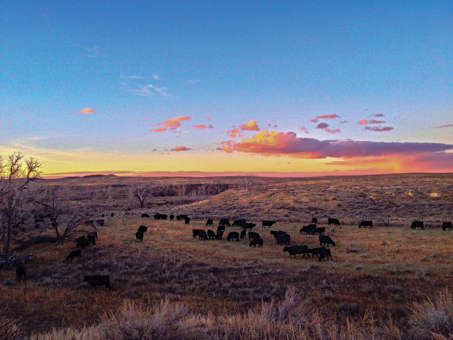 Tracy Ranch property picture 5 of 34