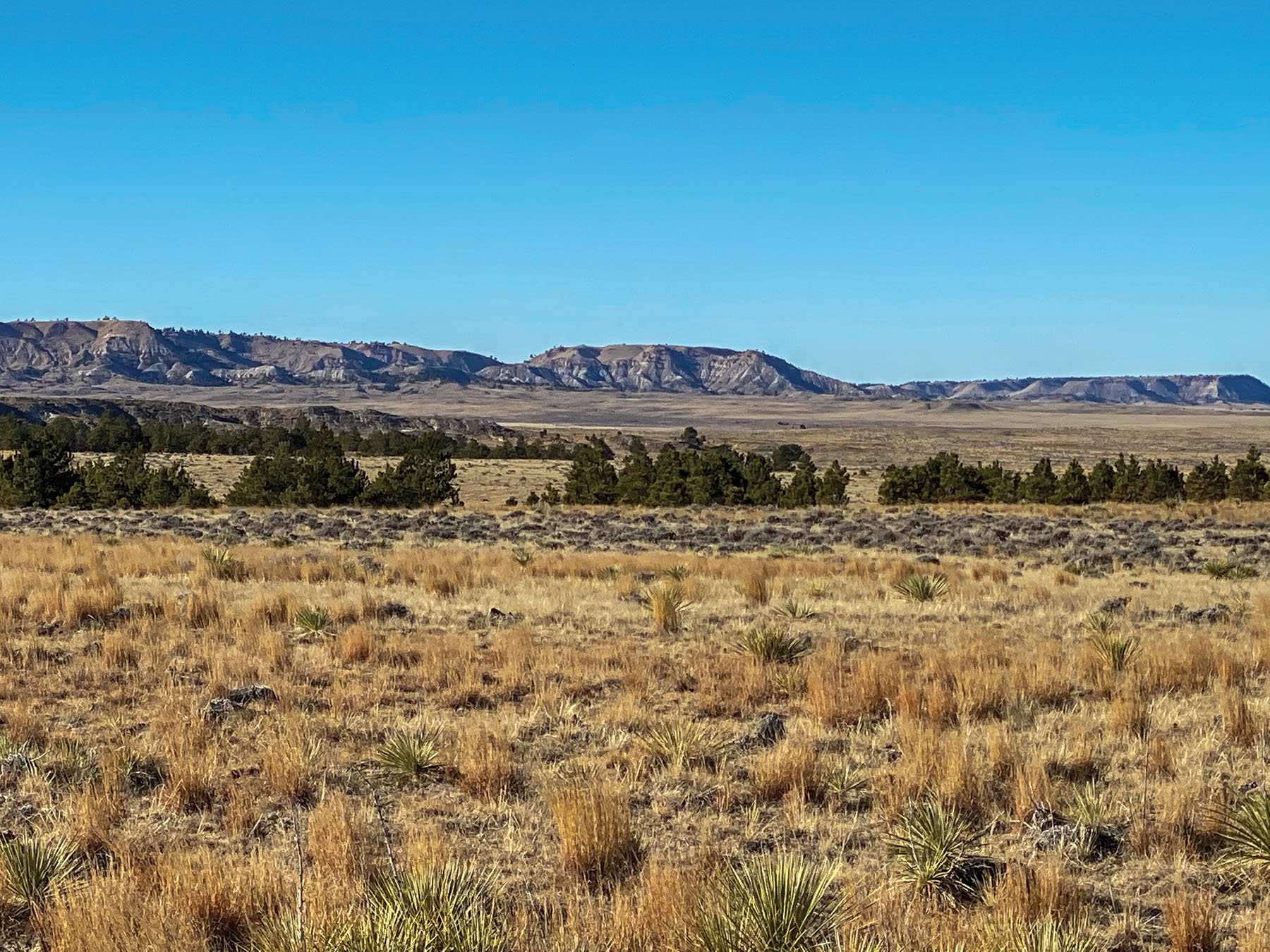 Tracy Ranch property picture 14 of 34