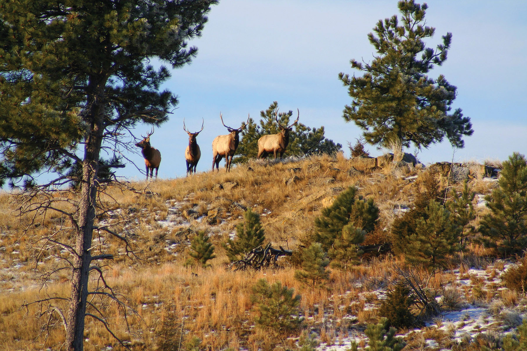 Tracy Ranch property picture 4 of 34