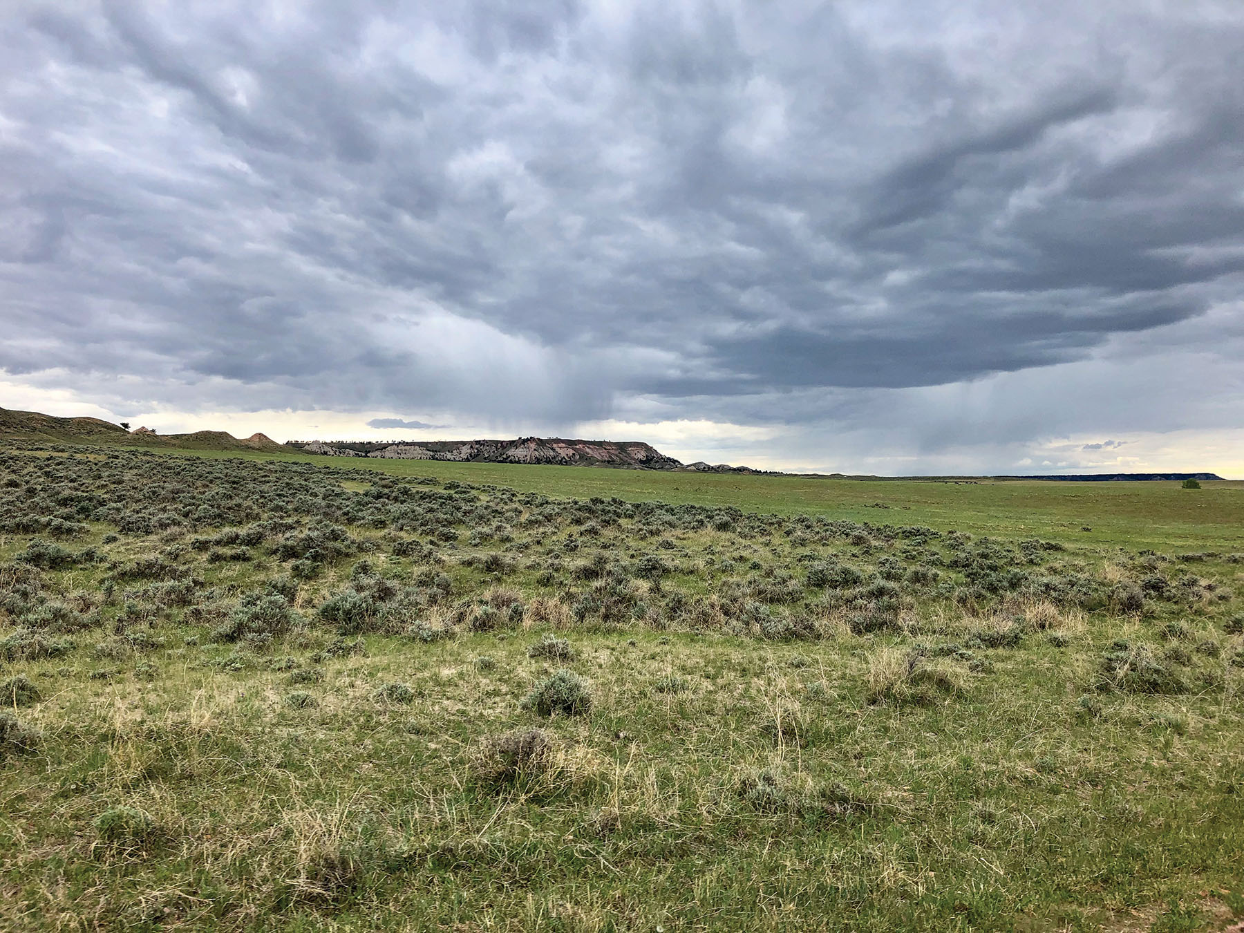 Tracy Ranch property picture 11 of 34