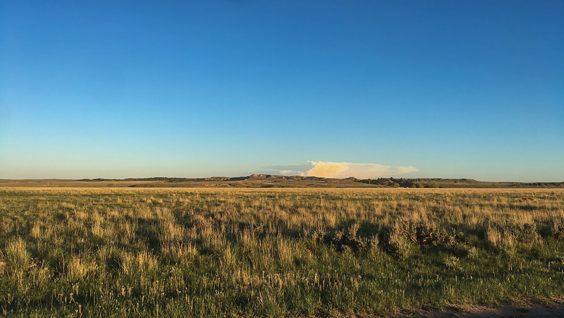 Tracy Ranch property picture 10 of 34