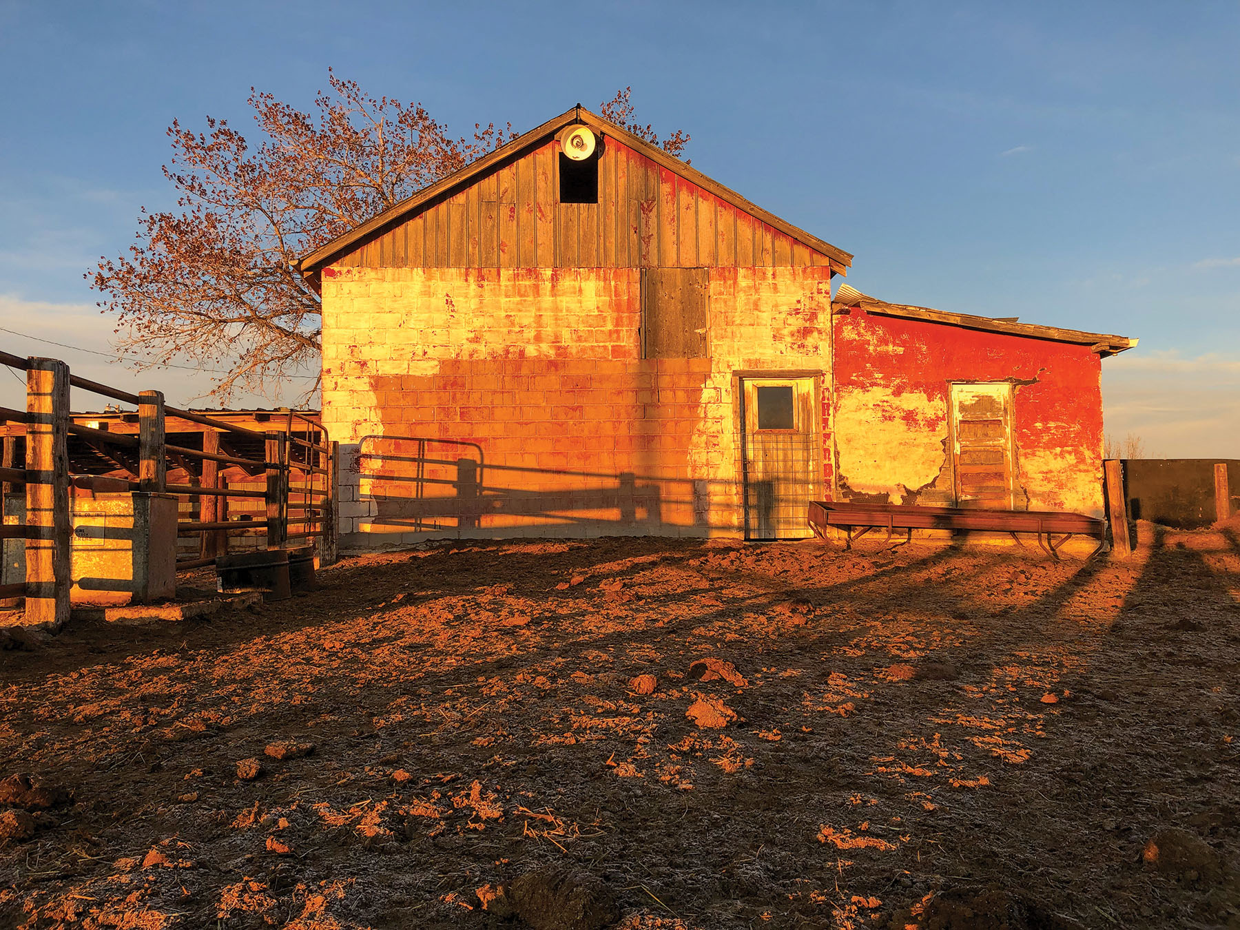 Tracy Ranch property picture 20 of 34