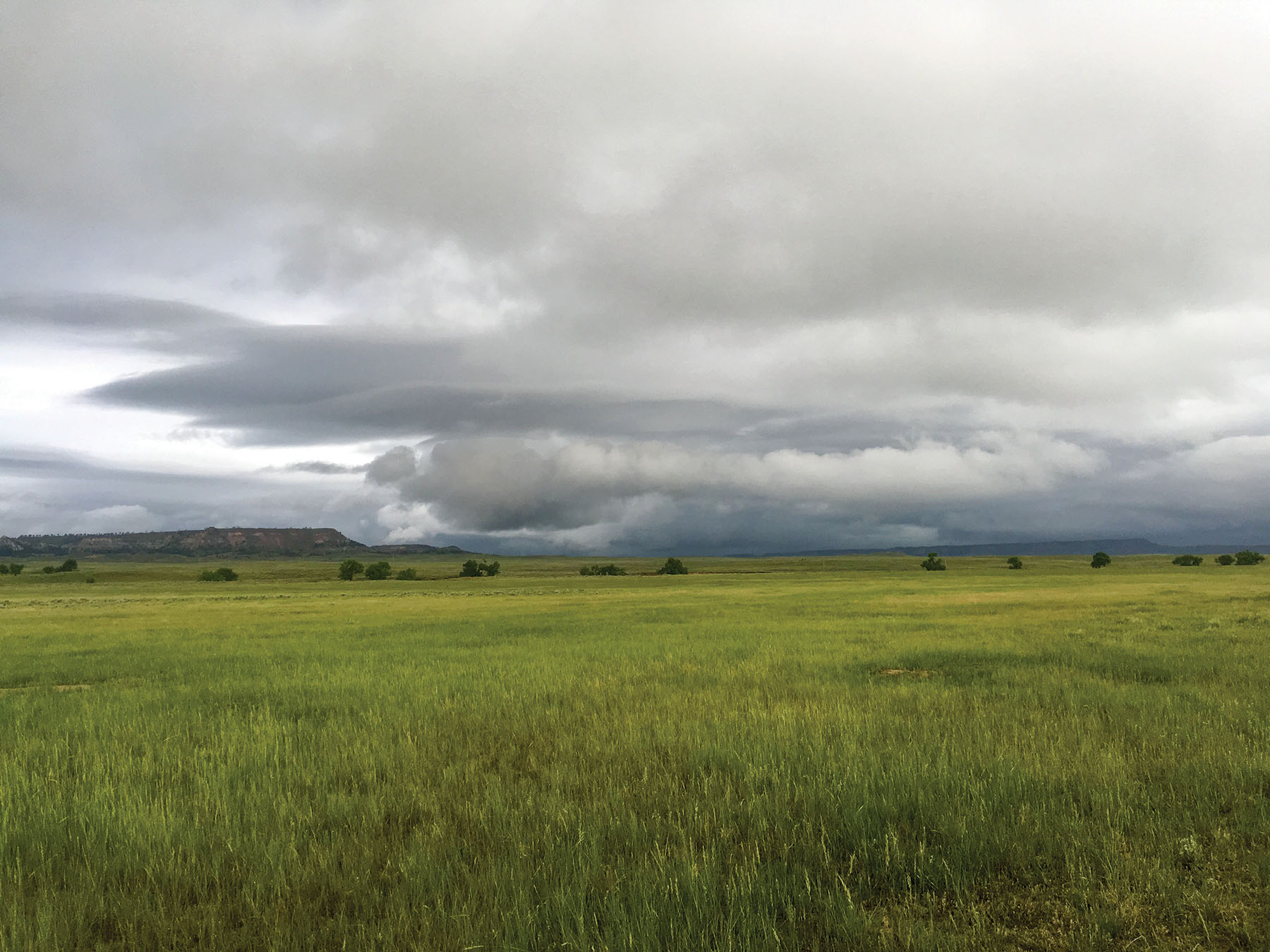 Tracy Ranch property picture 30 of 34