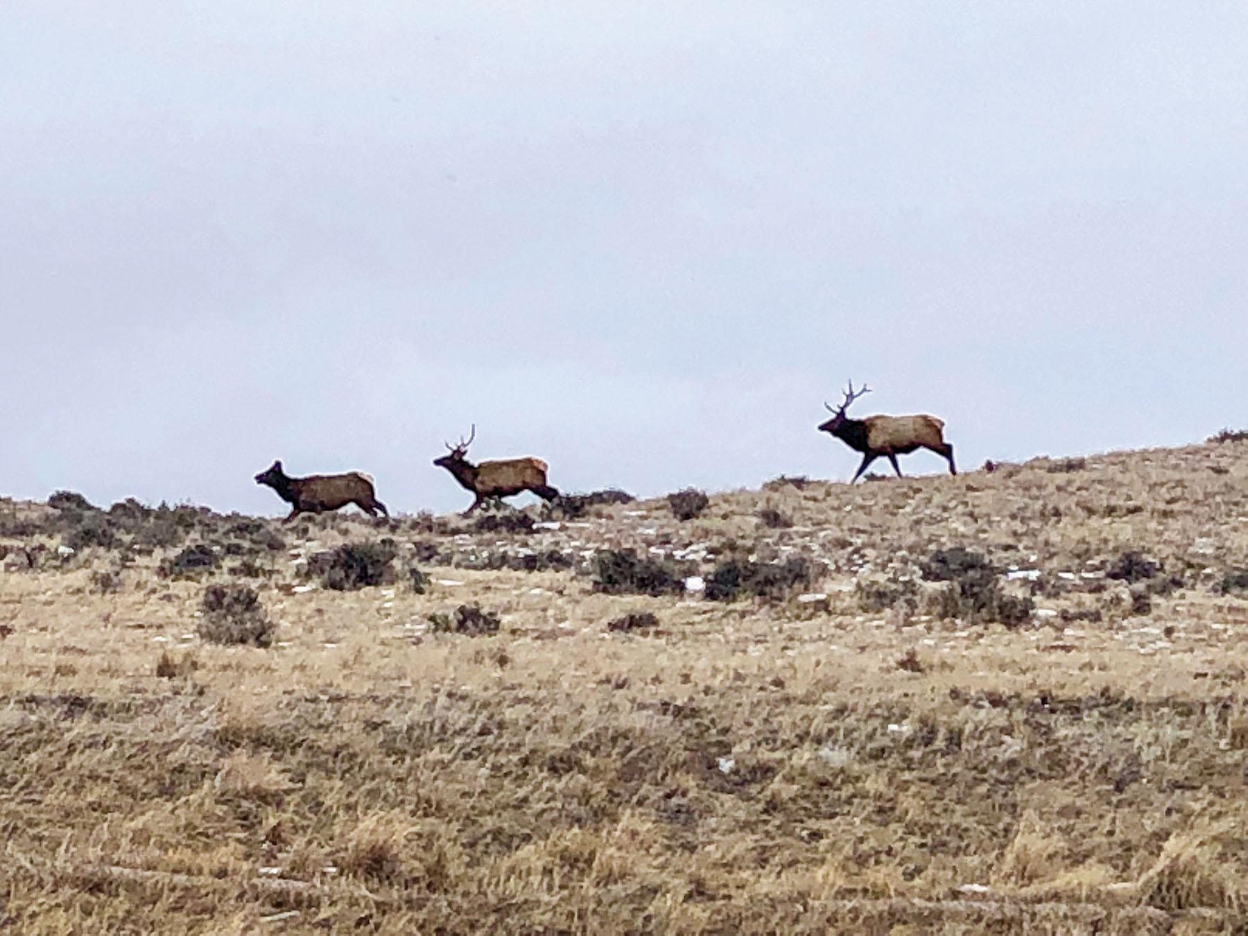 Tracy Ranch property picture 16 of 34