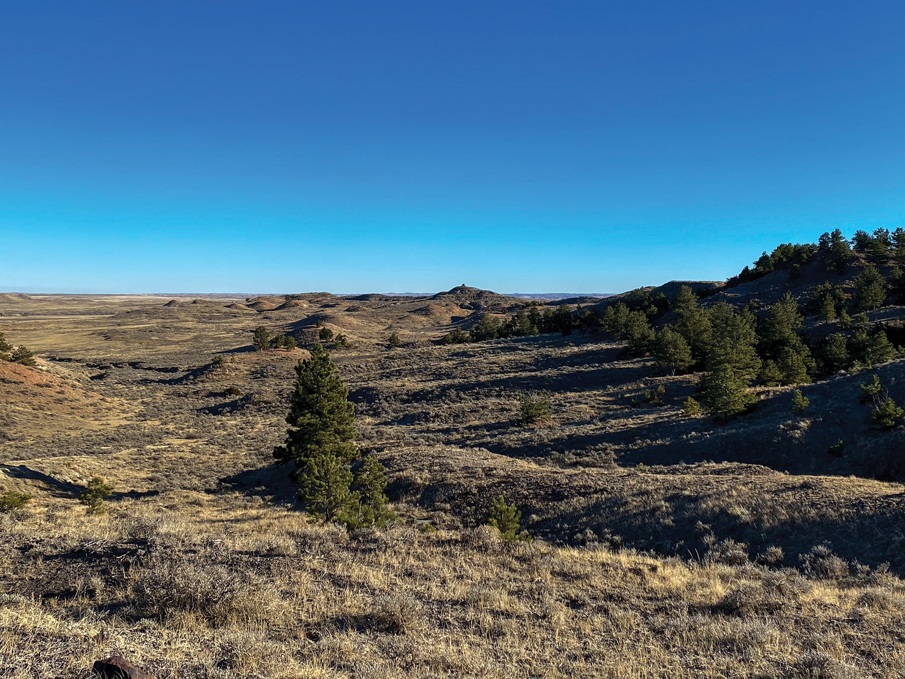 Tracy Ranch property picture 32 of 34