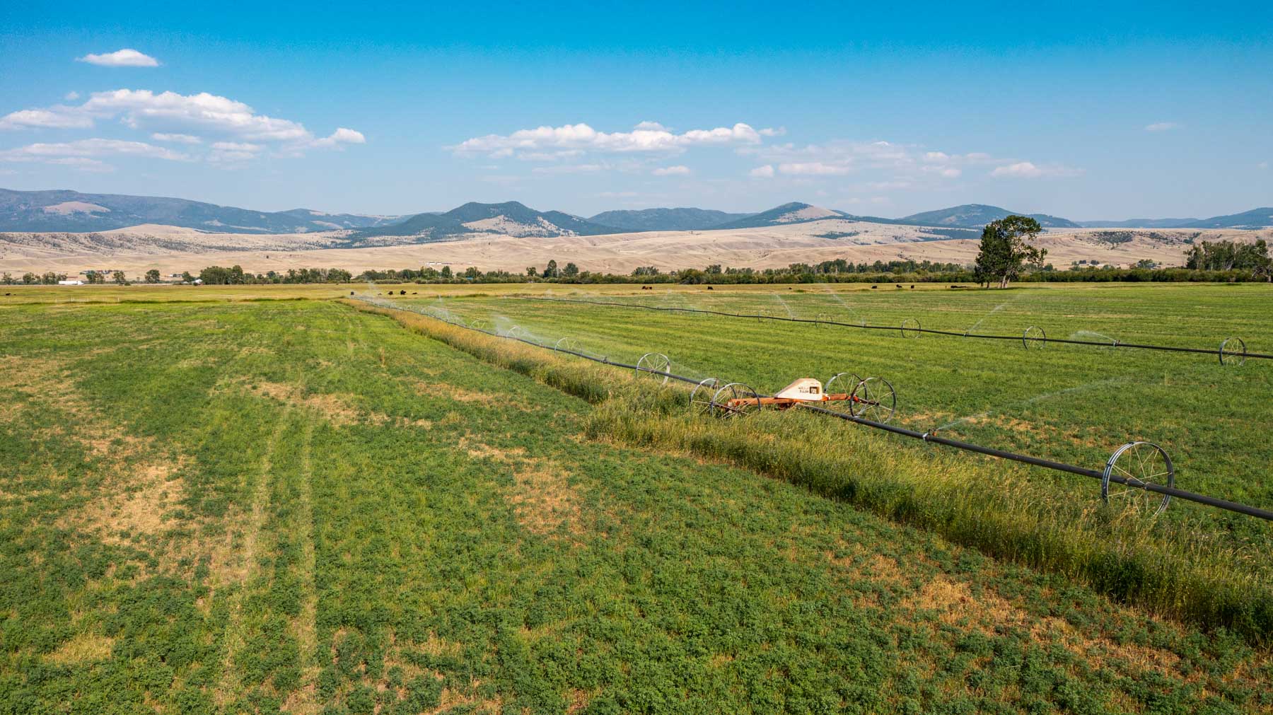 Melvin R. Beck Ranch property picture 14 of 23