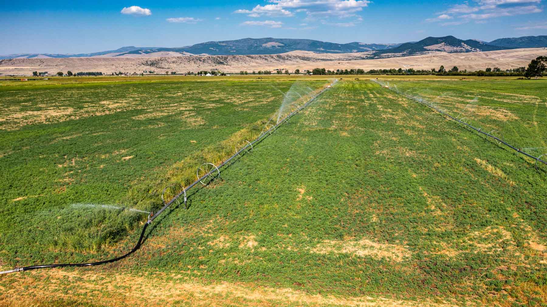 Melvin R. Beck Ranch property picture 13 of 23