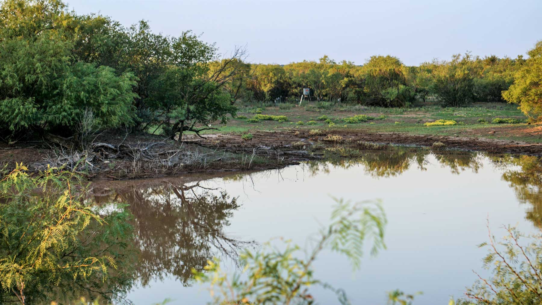 Teta Sola Ranch property picture 83 of 100