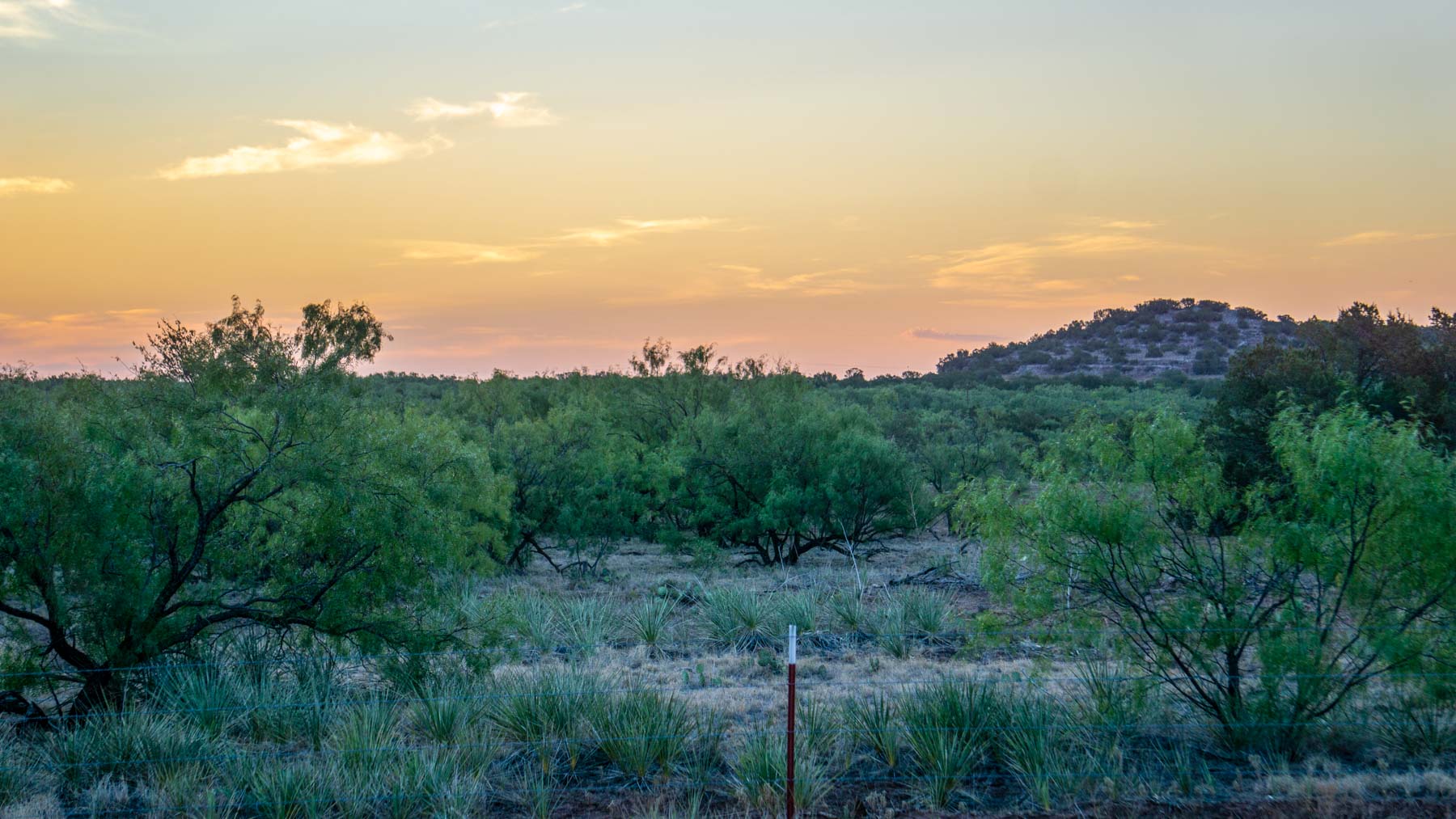 Teta Sola Ranch property picture 47 of 100