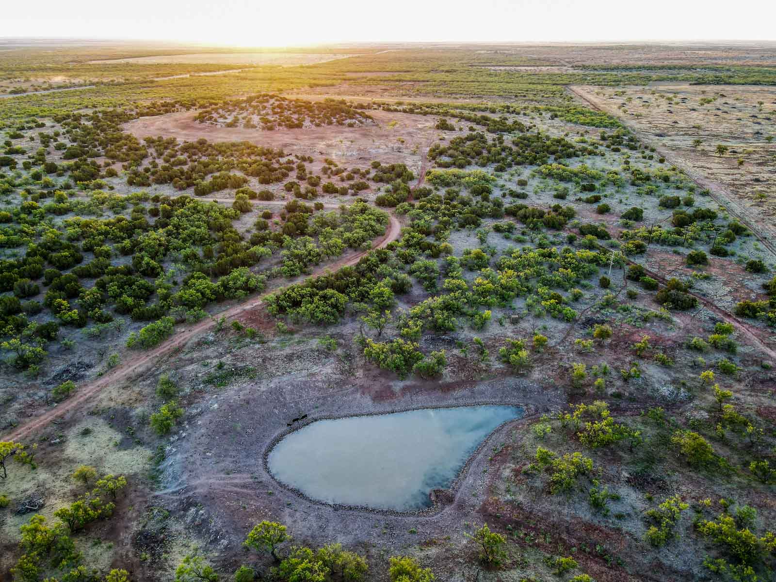 Teta Sola Ranch property picture 41 of 100