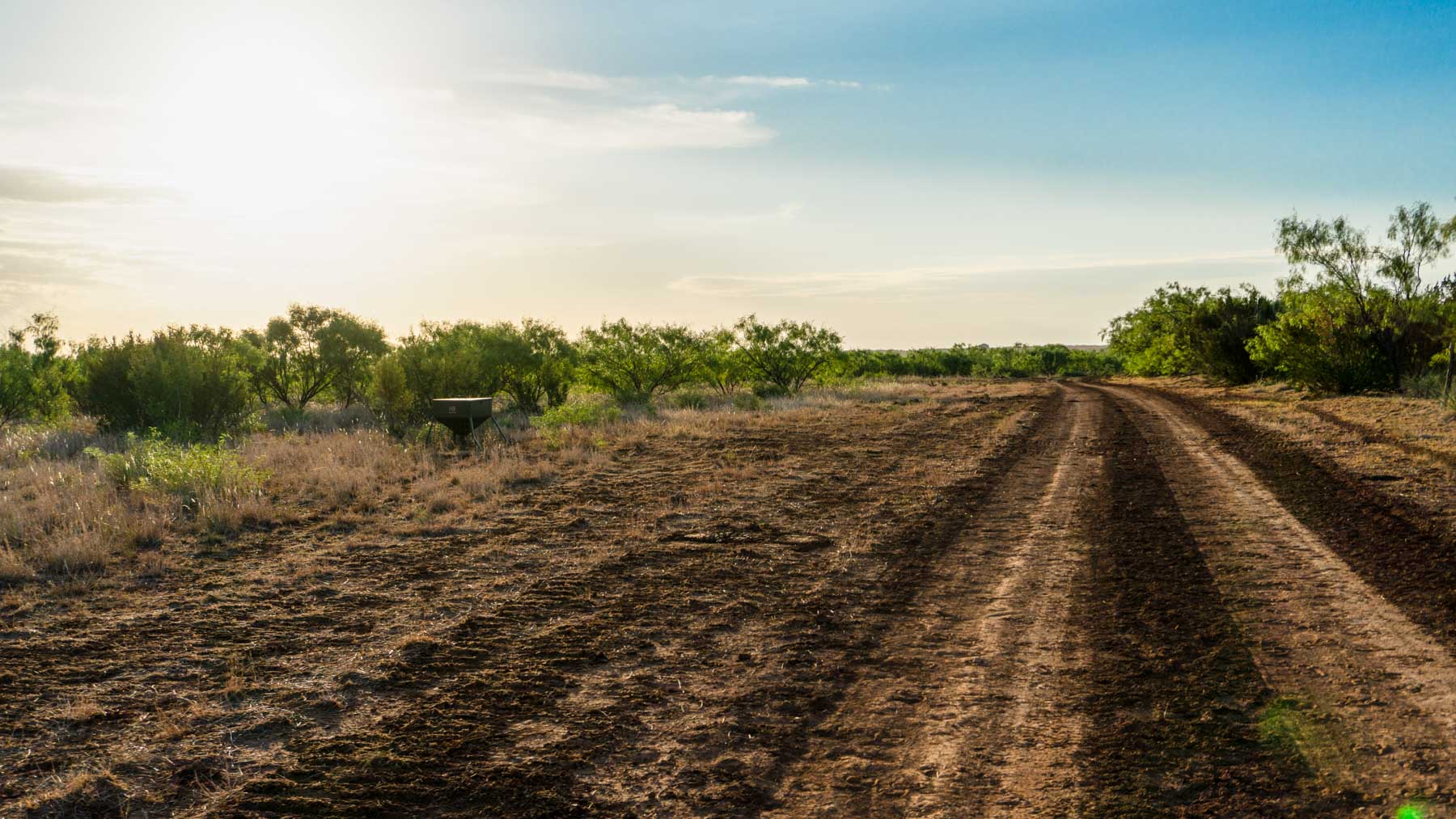Teta Sola Ranch property picture 53 of 100