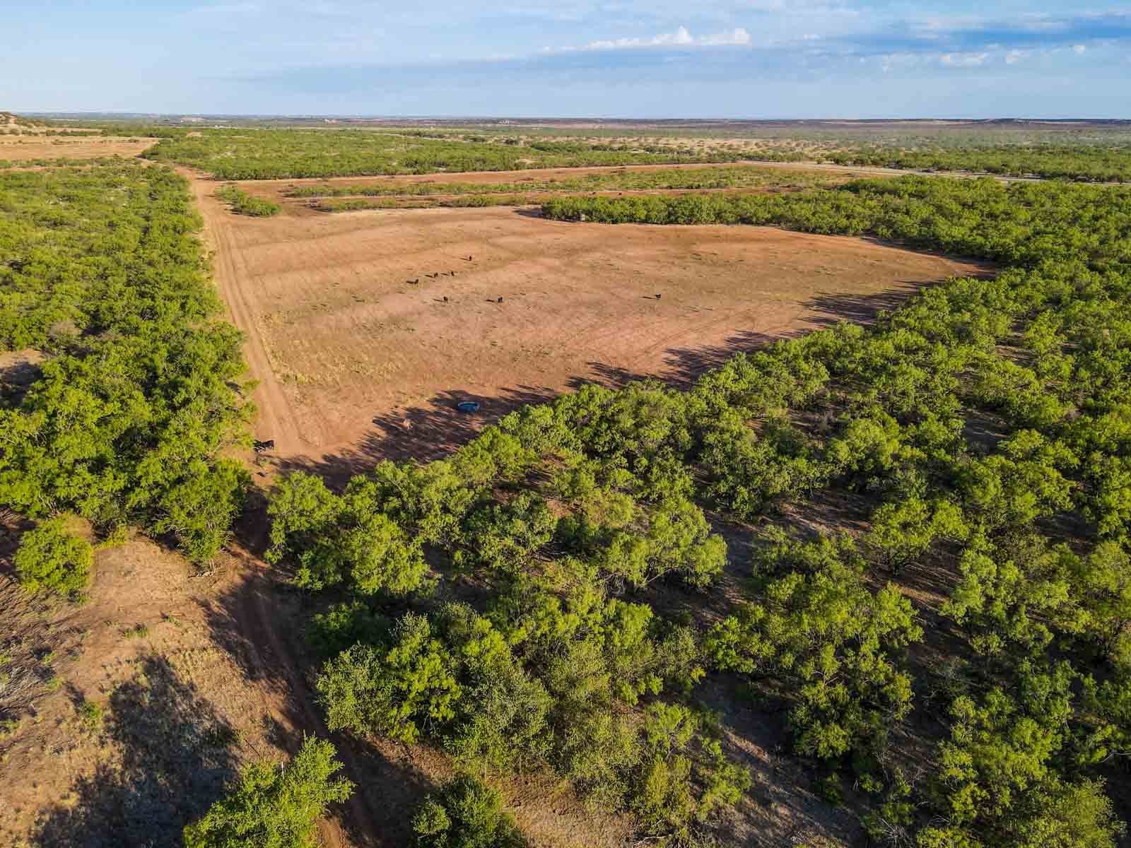 Teta Sola Ranch property picture 74 of 100