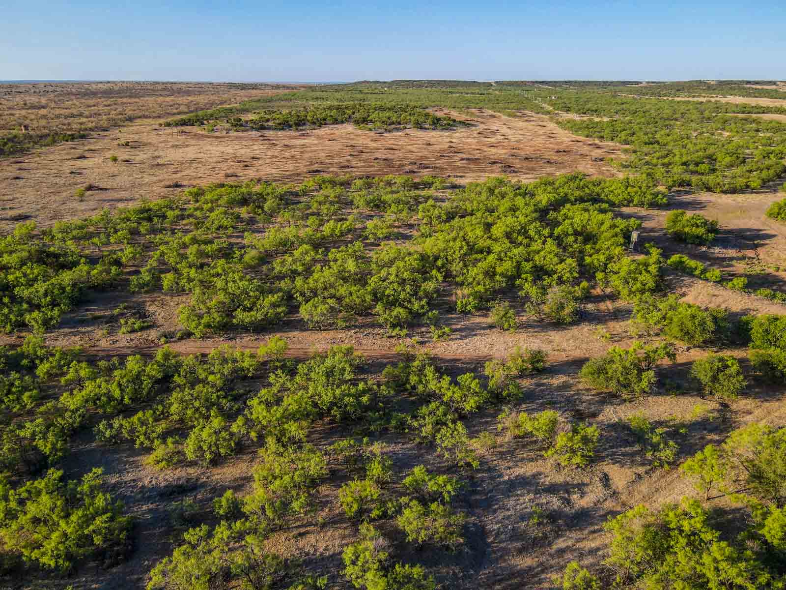 Teta Sola Ranch property picture 73 of 100