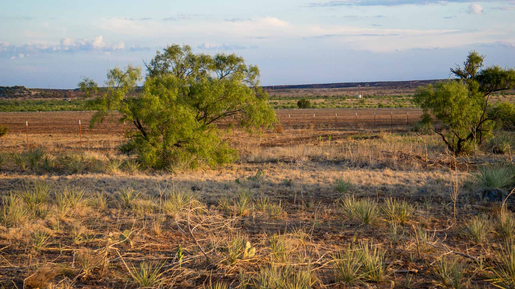 Teta Sola Ranch property picture 50 of 100