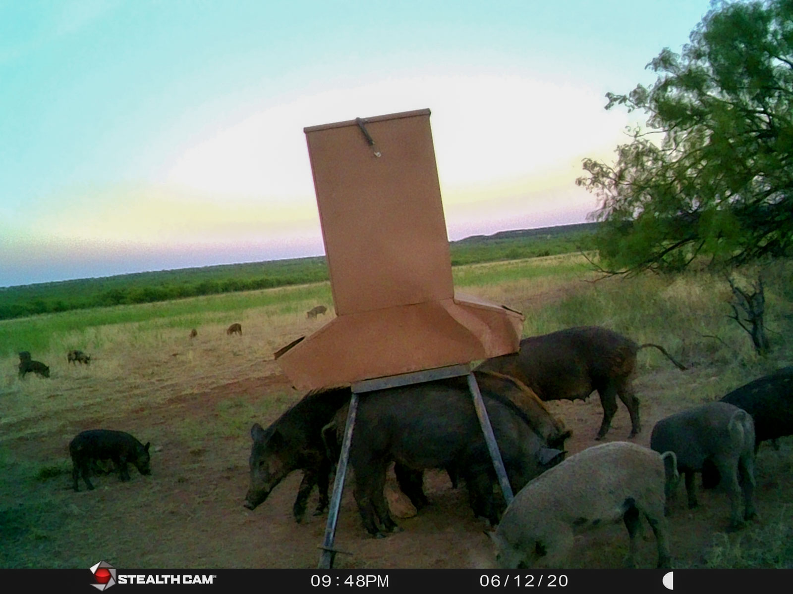 Teta Sola Ranch property picture 21 of 100