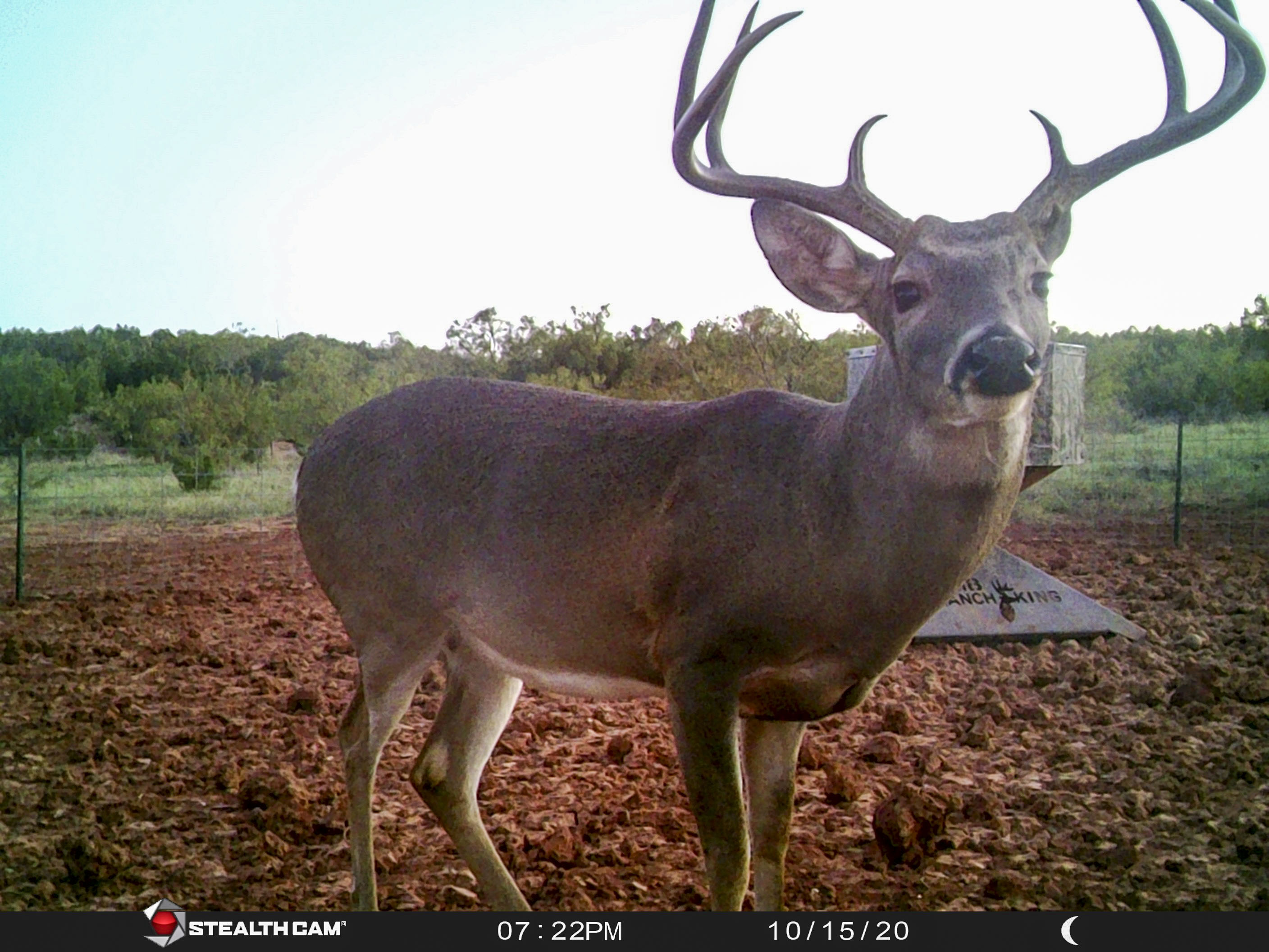 Teta Sola Ranch property picture 22 of 100