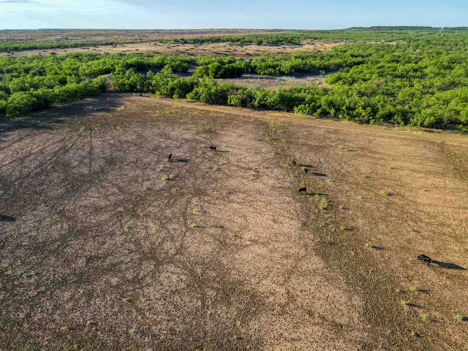 Teta Sola Ranch property picture 75 of 100