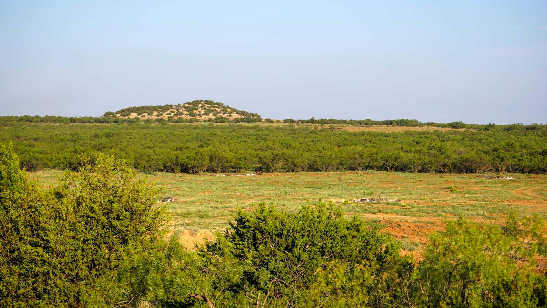 Teta Sola Ranch property picture 92 of 100