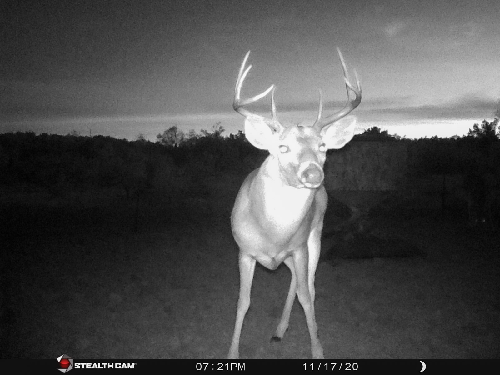 Teta Sola Ranch property picture 23 of 100