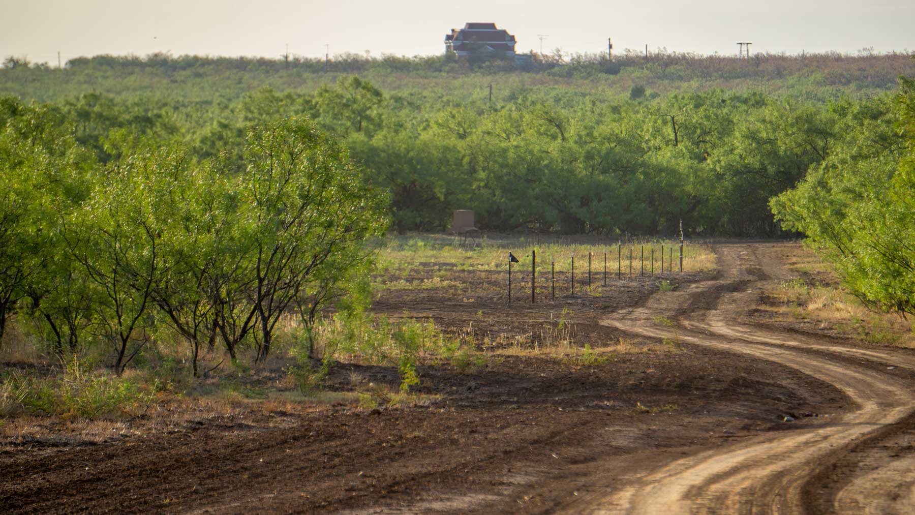 Teta Sola Ranch property picture 59 of 100