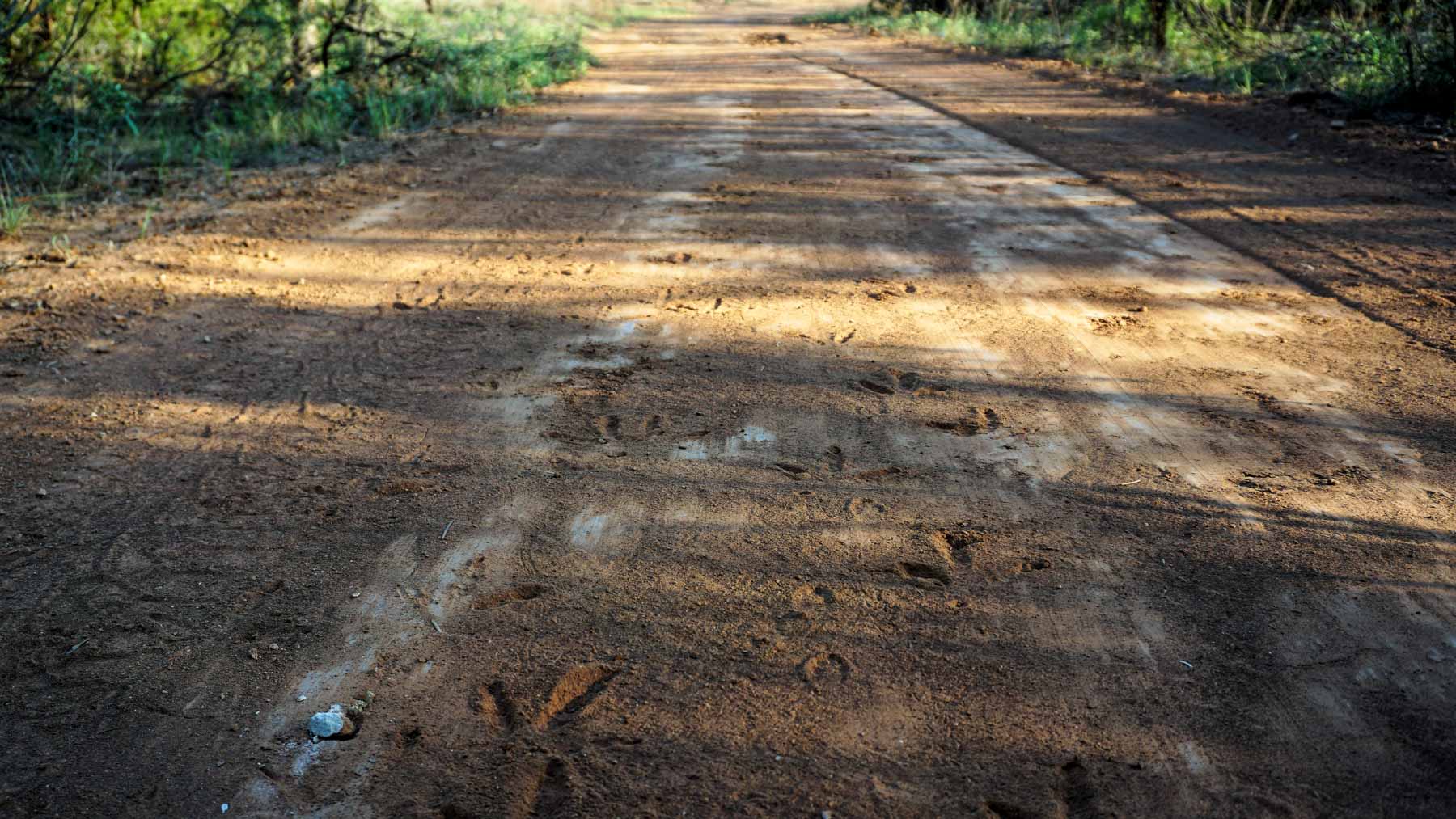 Teta Sola Ranch property picture 32 of 100