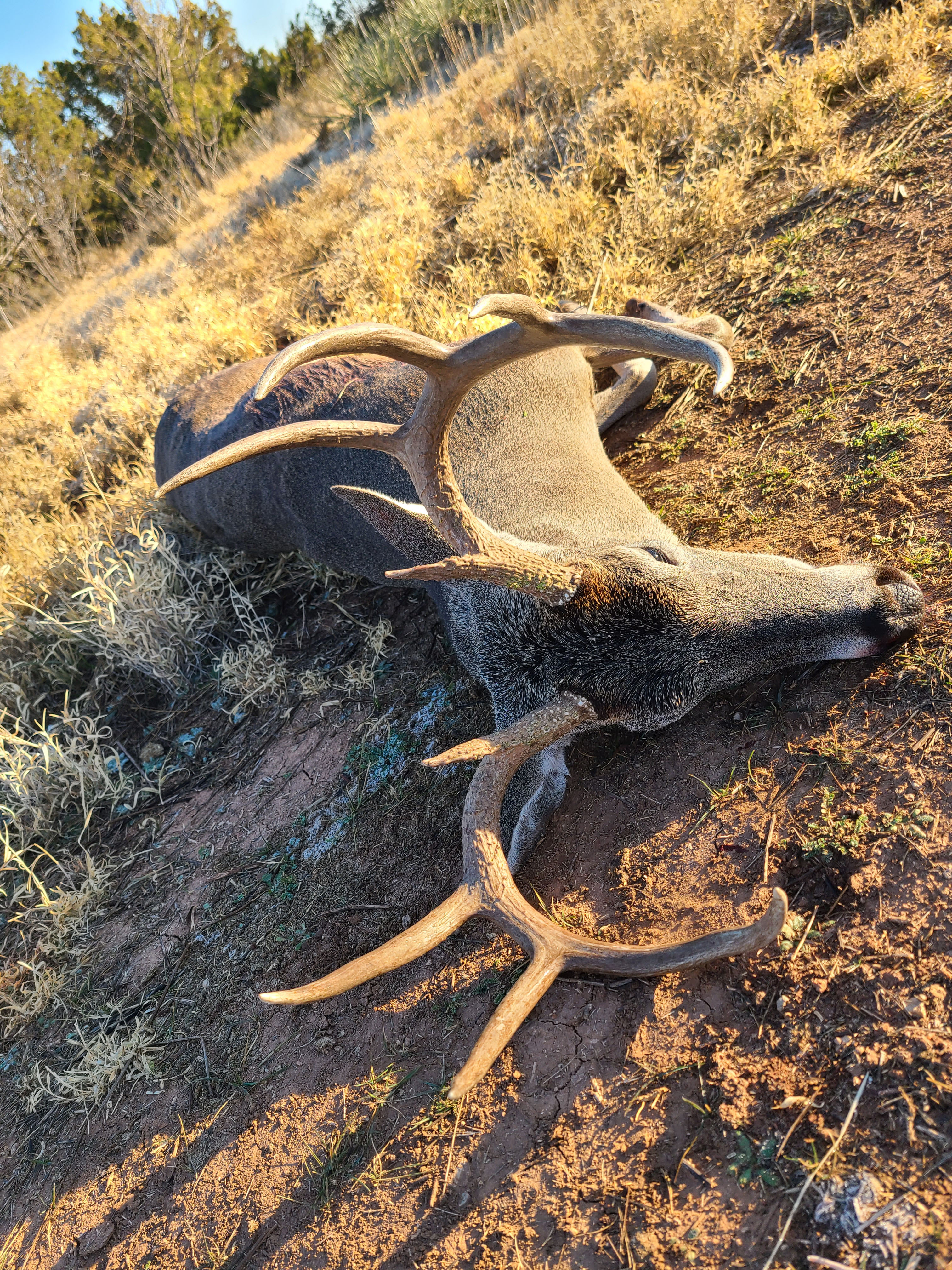 Teta Sola Ranch property picture 1 of 100