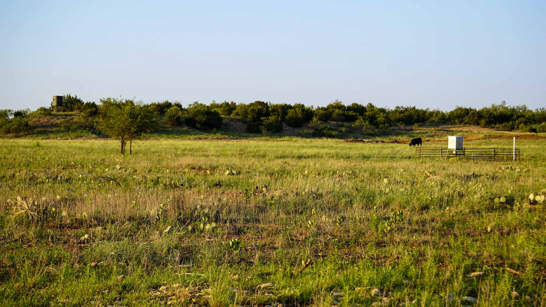 Teta Sola Ranch property picture 96 of 100