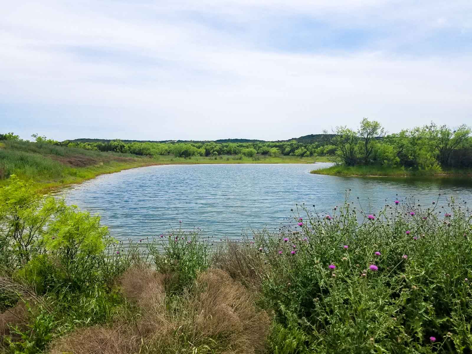 Teta Sola Ranch property picture 43 of 100