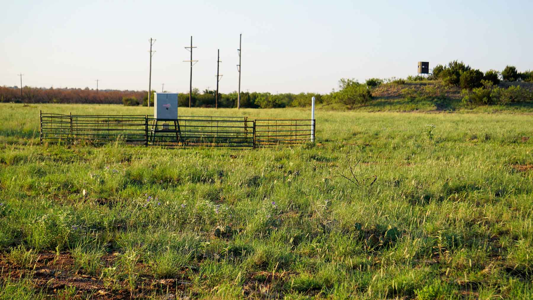 Teta Sola Ranch property picture 93 of 100