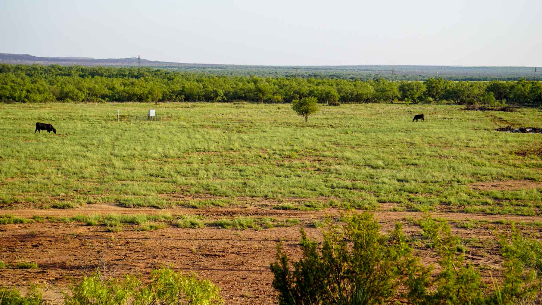Teta Sola Ranch property picture 95 of 100