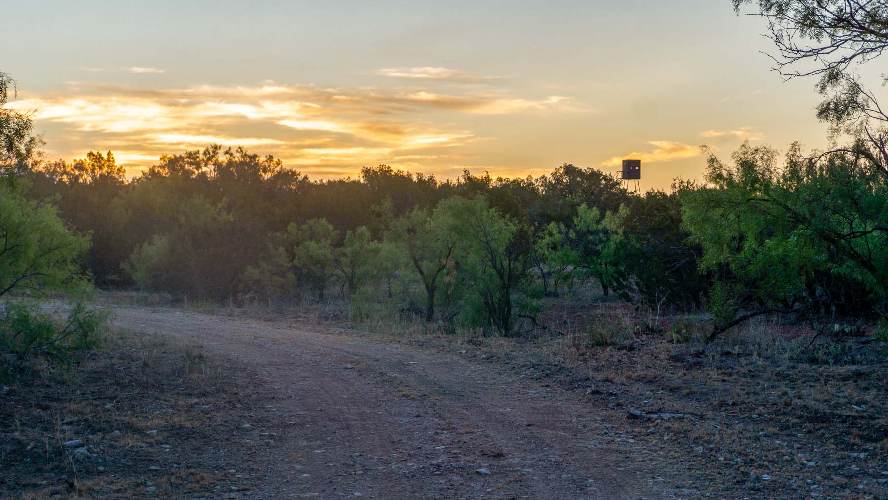 Teta Sola Ranch property picture 40 of 100