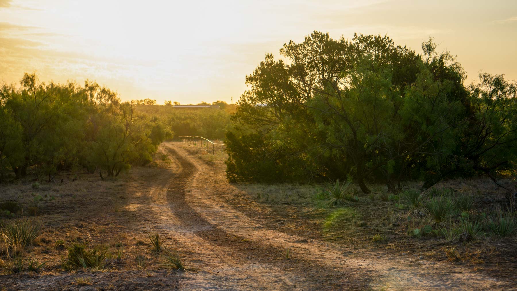 Teta Sola Ranch property picture 51 of 100