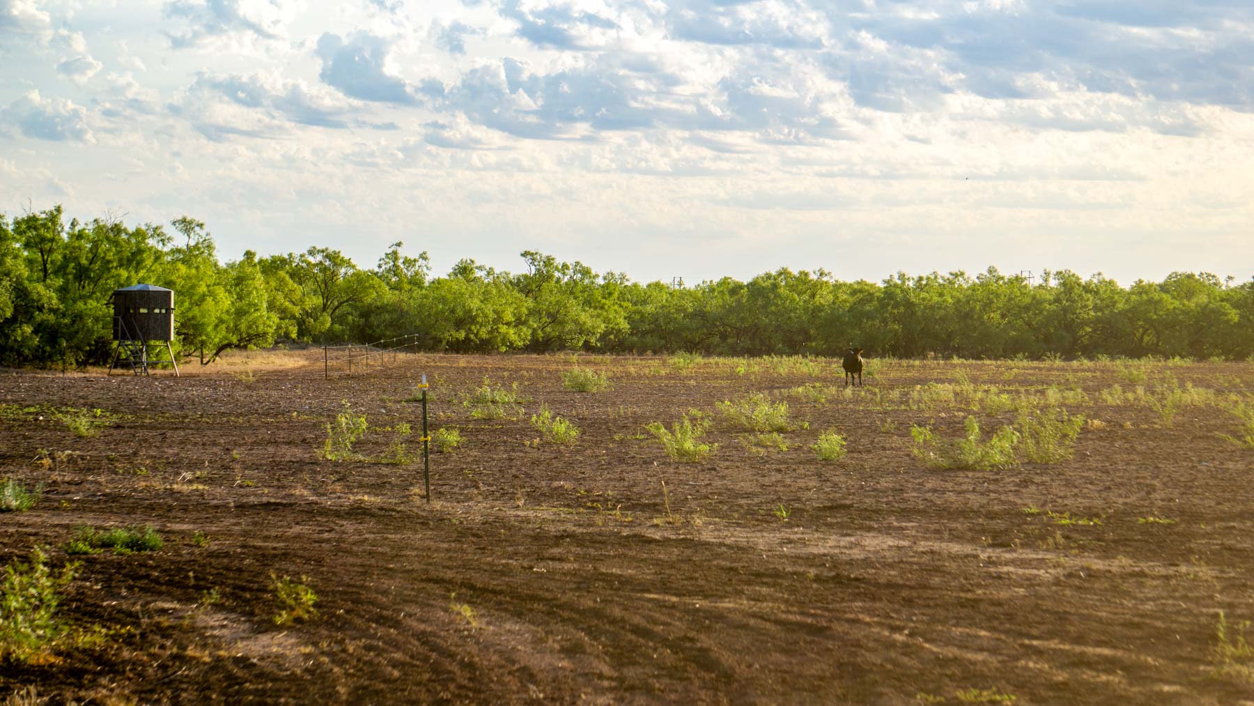 Teta Sola Ranch property picture 62 of 100