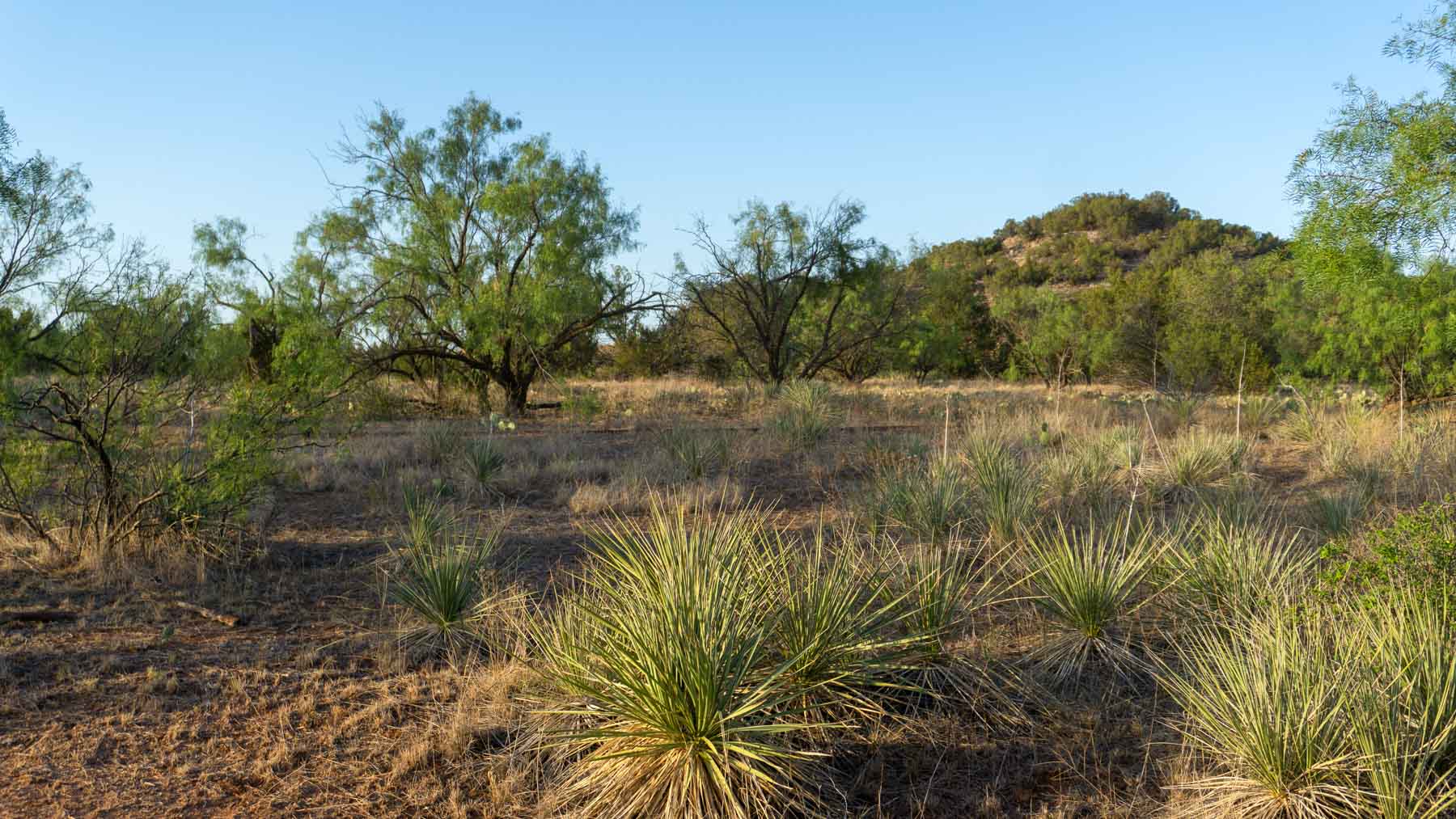 Teta Sola Ranch property picture 52 of 100