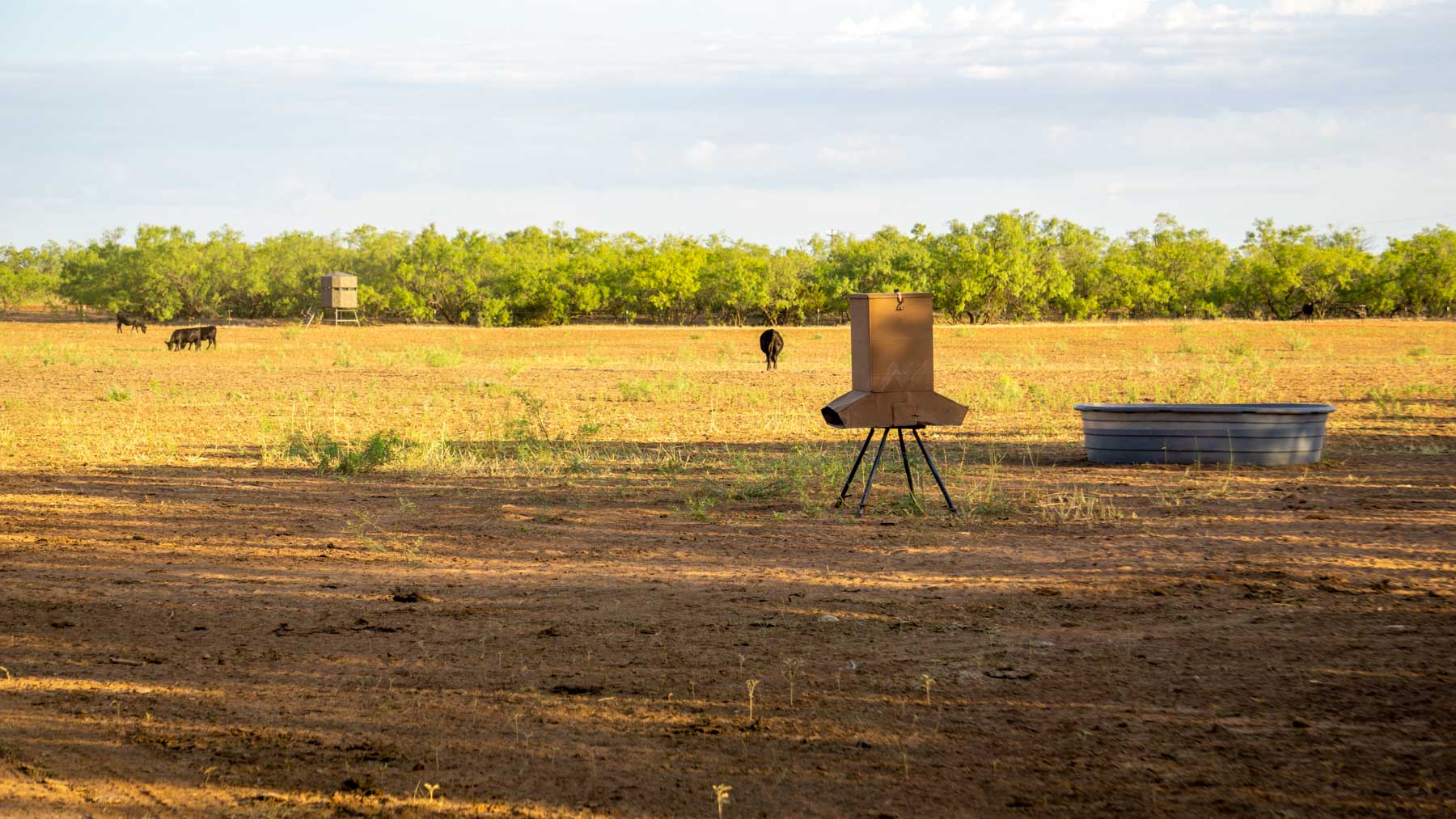 Teta Sola Ranch property picture 38 of 100