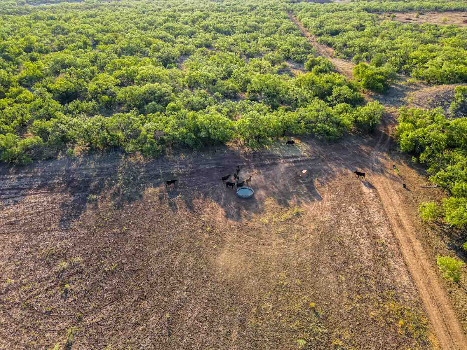 Teta Sola Ranch property picture 30 of 100