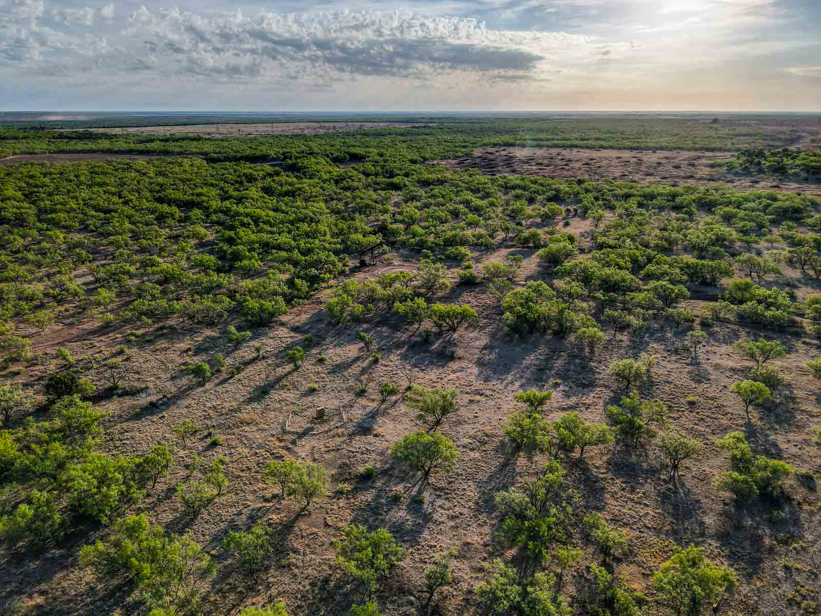 Teta Sola Ranch property picture 68 of 100