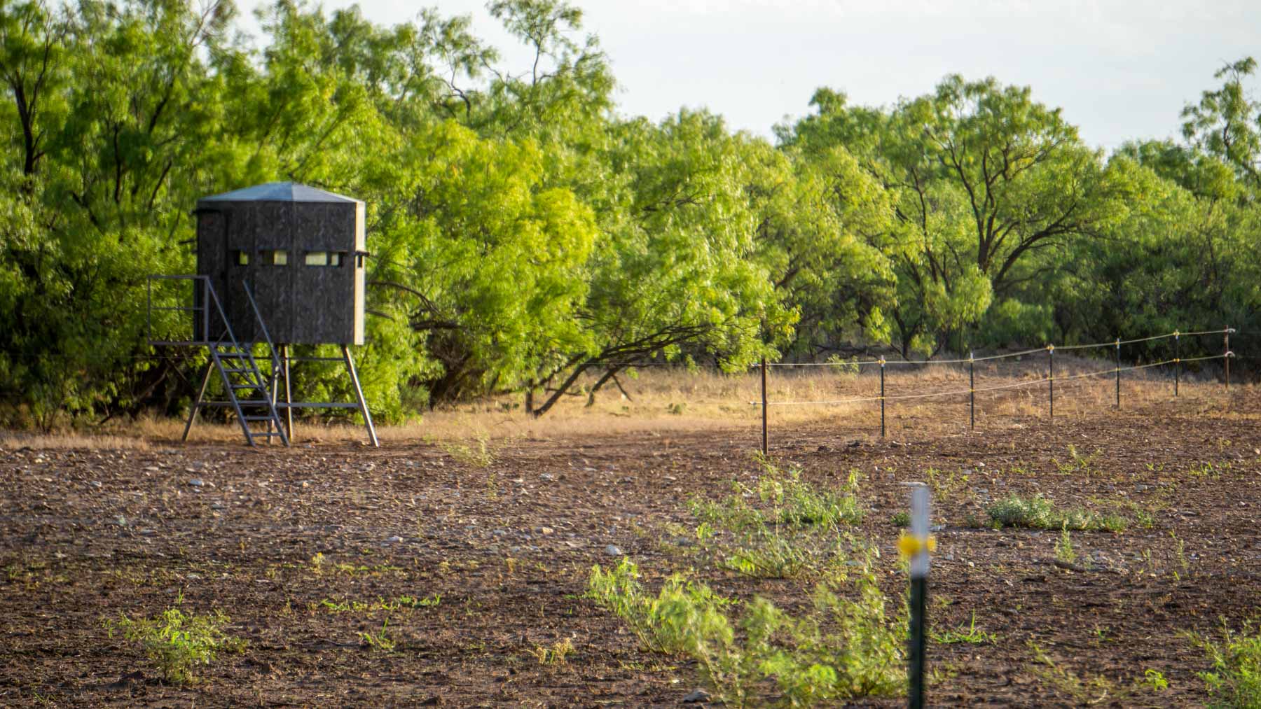 Teta Sola Ranch property picture 36 of 100
