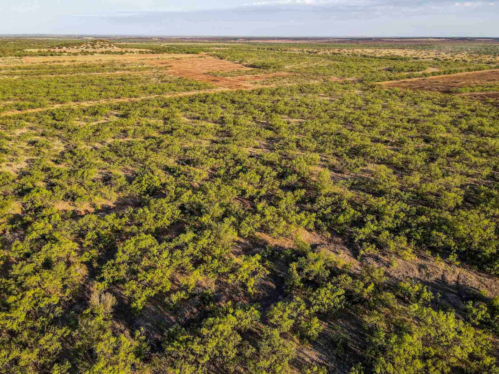 Teta Sola Ranch property picture 71 of 100