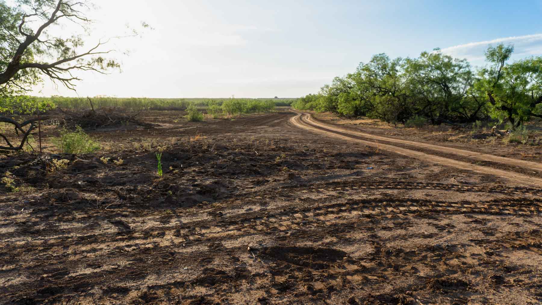 Teta Sola Ranch property picture 58 of 100