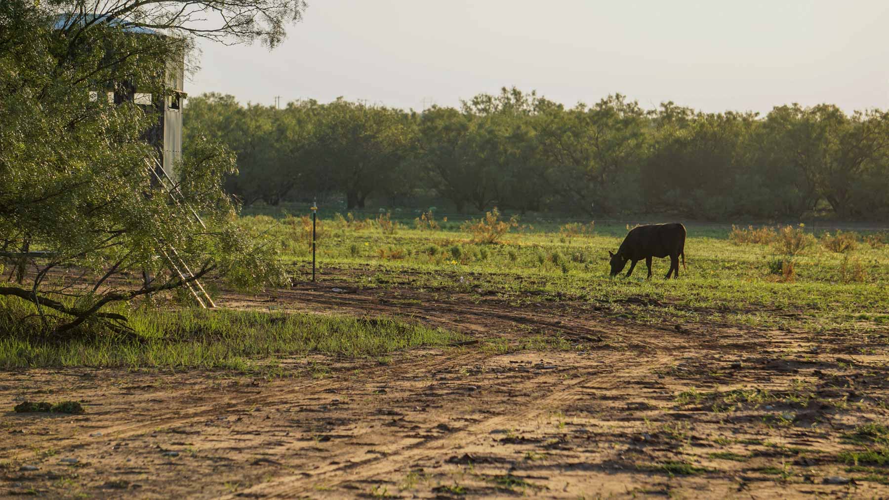 Teta Sola Ranch property picture 25 of 100